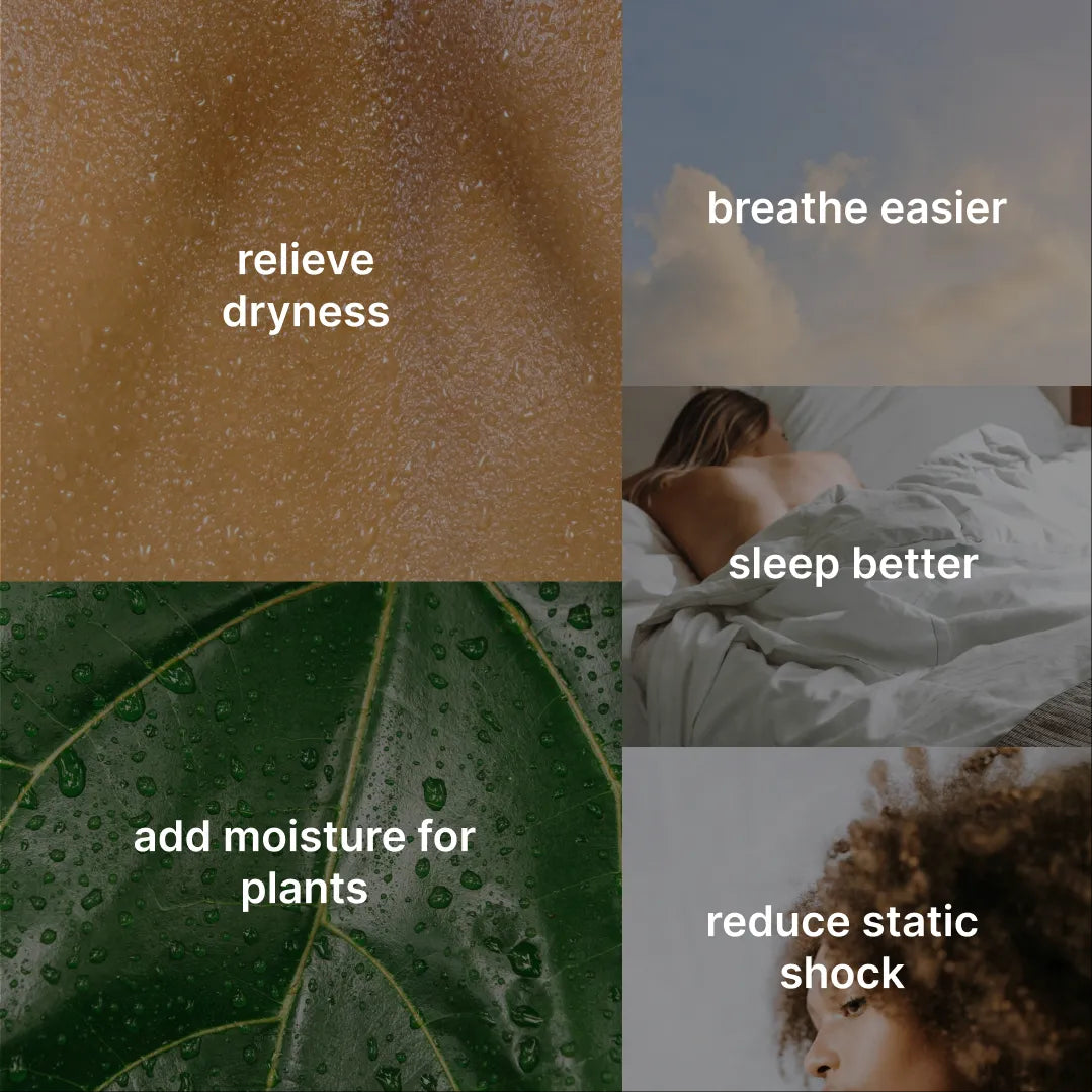 An informative image highlighting the benefits of the Homedics Small Plant Humidifier, such as improved air quality and added moisture for plants.