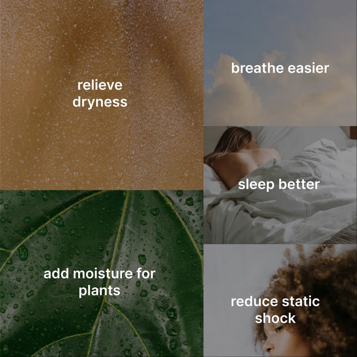 An informative image highlighting the benefits of the Homedics Small Plant Humidifier, such as improved air quality and added moisture for plants.