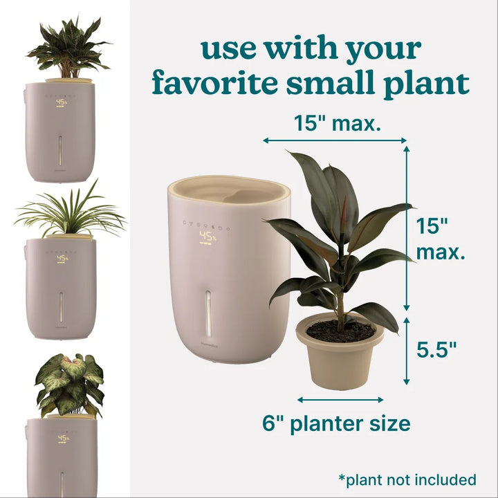 A detailed image displaying the exact dimensions of the Homedics Small Plant Humidifier, providing potential buyers with a clear understanding of its size.