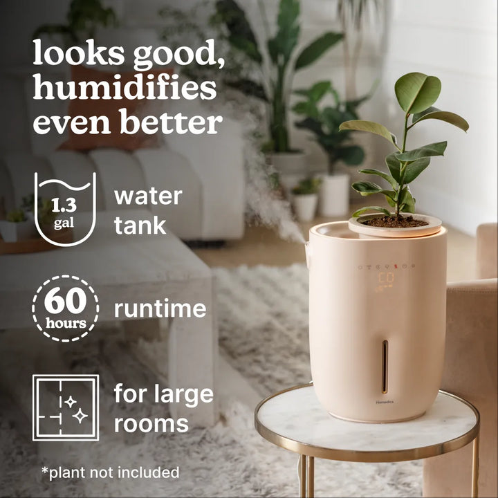 A comprehensive image illustrating the key features of the Homedics Small Plant Humidifier.