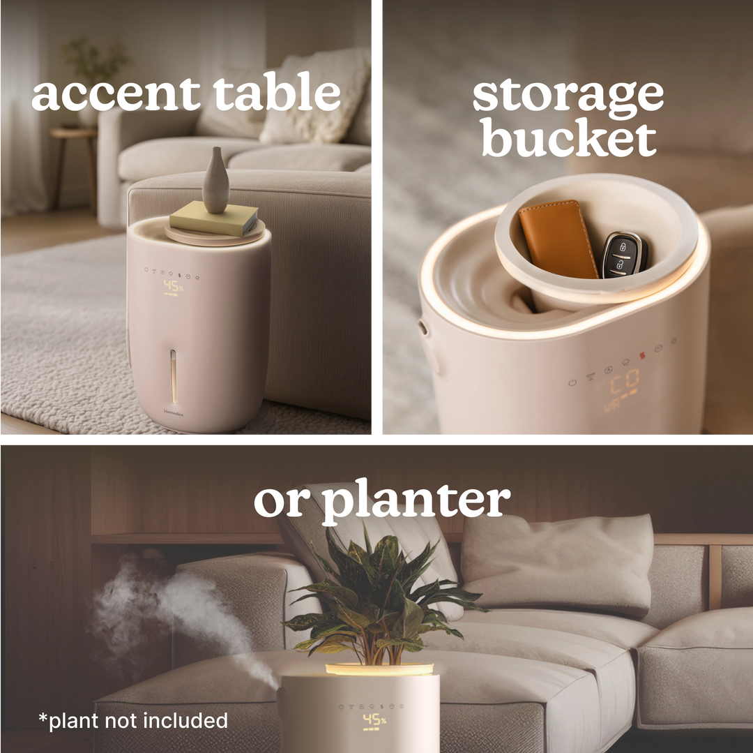 Small Plant Humidifier