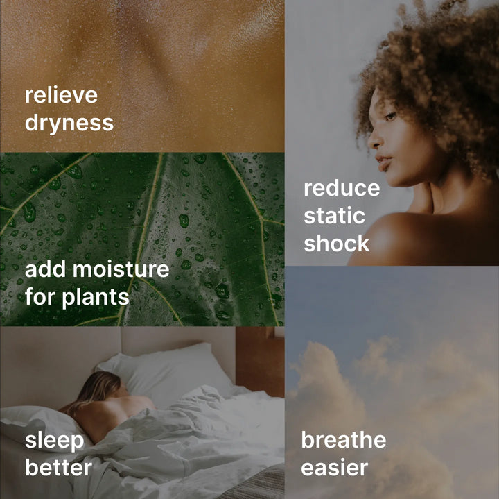 Image highlighting the features of the Homedics® Warm & Cool Mist Ultrasonic Humidifier