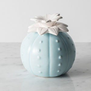 Desert Bud Porcelain Aroma Diffuser - How to Fill