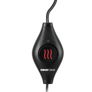 Back & Seat Heated Car Cushion