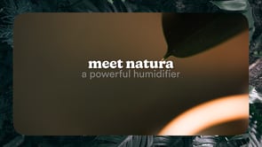 Homedics Small Plant Humidifier